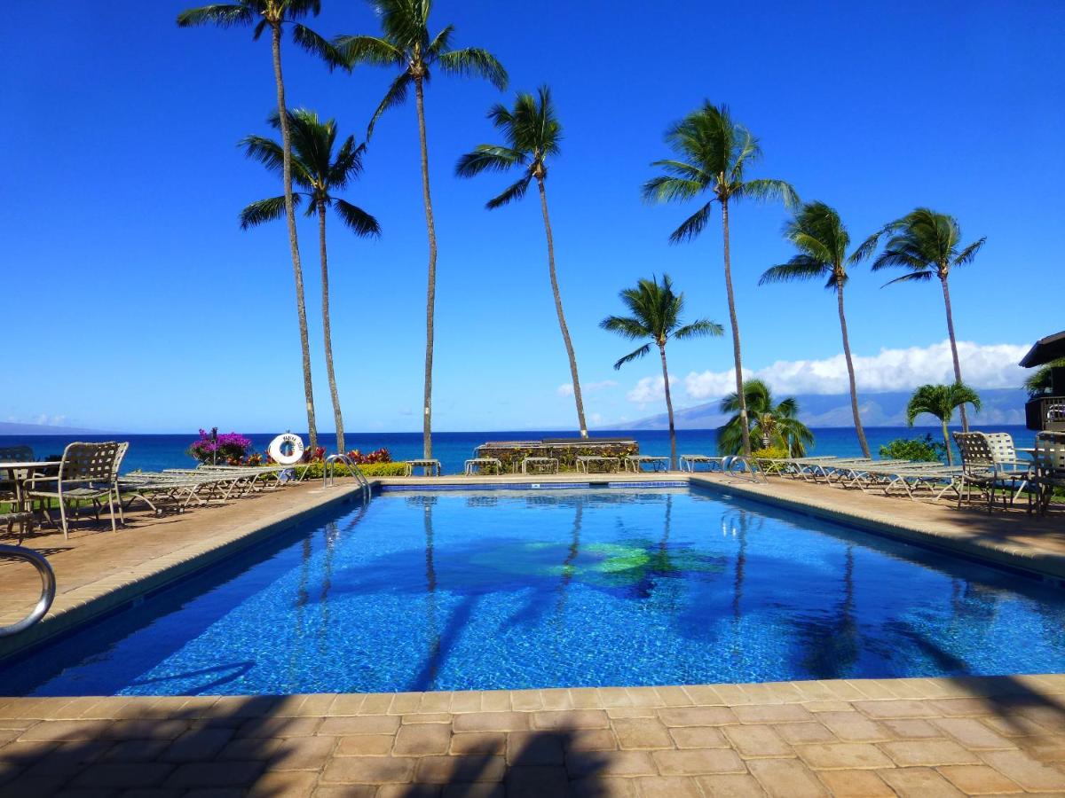 Mahina Surf - image 4