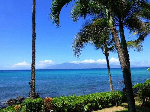 Mahina Surf - image 5