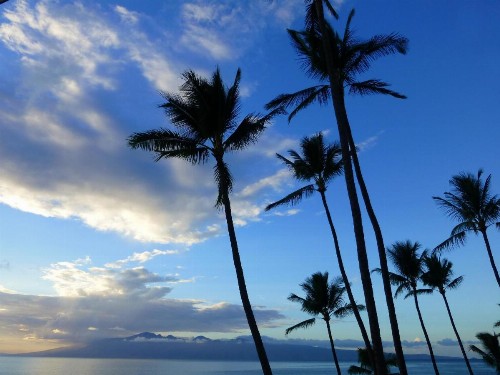 Mahina Surf - image 7