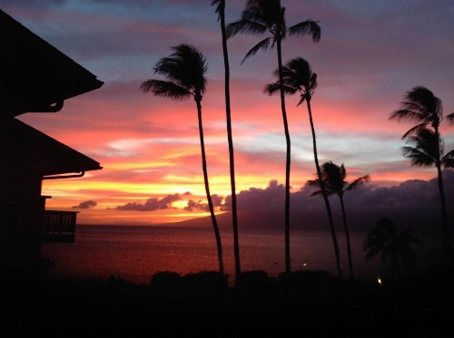 Mahina Surf - image 8