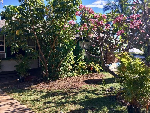 Hakuna Matata Maui Hostel - image 10