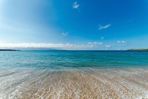 Paki Maui 423 - image 10