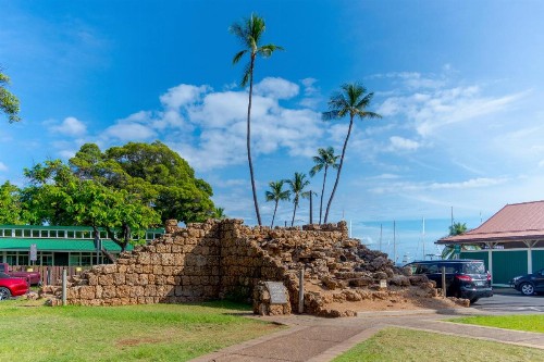 Paki Maui 423 - image 12