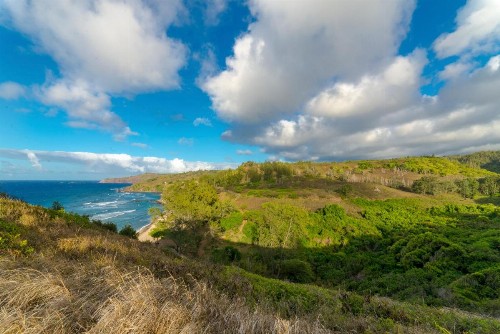 Paki Maui 423 - image 9