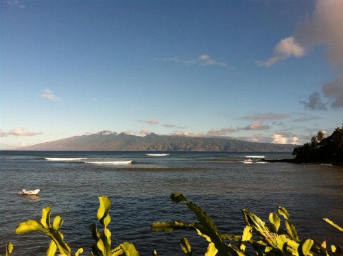 Maui Beach House B & B - image 17