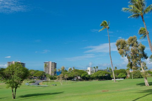 Kaanapali Royal L102 - image 10