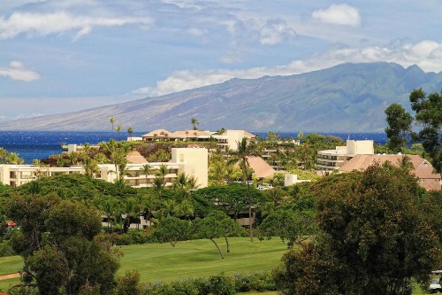 Kaanapali Royal L102 - image 4