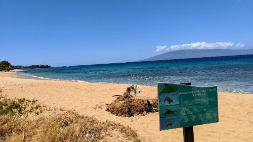 Honua Kai - Konea 643 - image 23