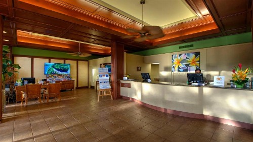 Maui Eldorado - B206 - image 25