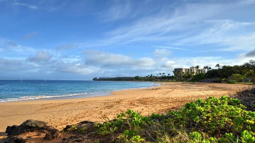 Maui Eldorado - B206 - image 47