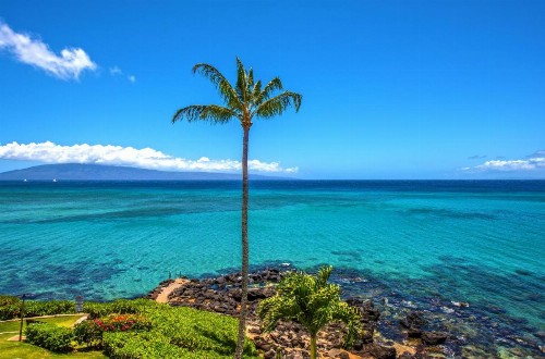 Kuleana Resort 417 - image 14