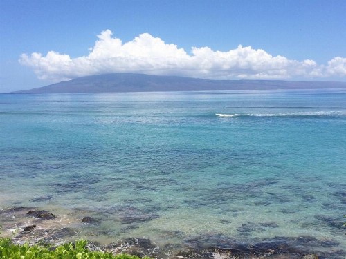 Kuleana Resort 418 - image 39