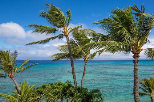 Hale Ono Loa 406 - image 6
