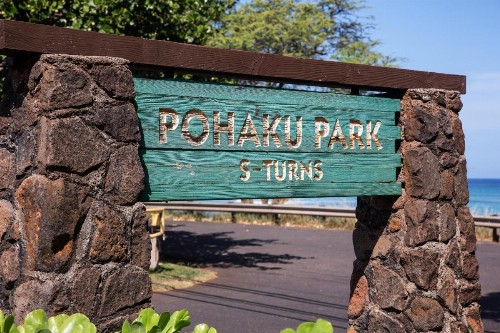 Hale Ono Loa 406 - image 9