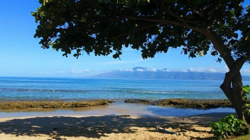 Lahaina Luxury Condos - image 3