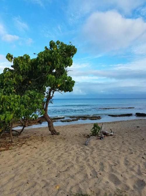 Lahaina Luxury Condos - image 6