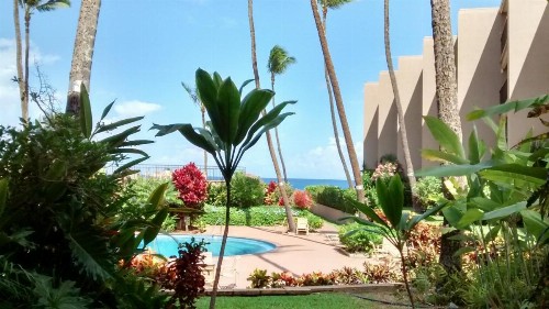 3823 Lower Honoa'Apilani Road Condo Unit 111 Condo Lahaina Hawaii