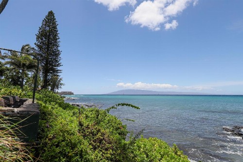 Mahina Surf 109 - image 8