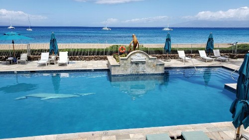 Maui Westside Presents- The Whaler 319 - image 38