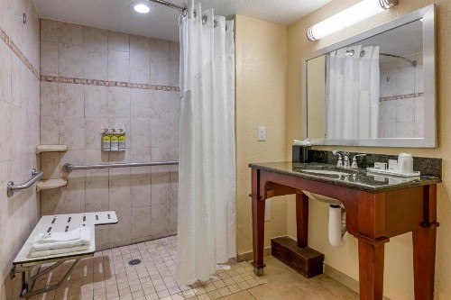 Holiday Inn Resort Orlando - Lake Buena Vista an IHG Hotel - image 15