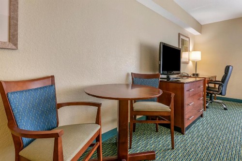 Holiday Inn Resort Orlando - Lake Buena Vista an IHG Hotel - image 21