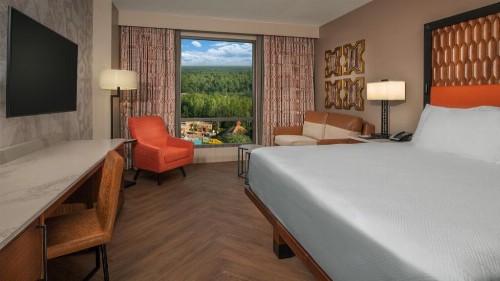 Disney's Coronado Springs Resort - image 21