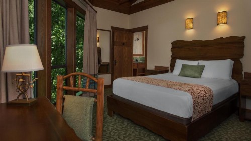 Disney's Saratoga Springs Resort & Spa - image 29