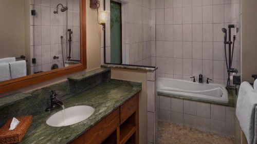 Disney's Saratoga Springs Resort & Spa - image 30