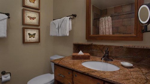 Disney's Saratoga Springs Resort & Spa - image 35