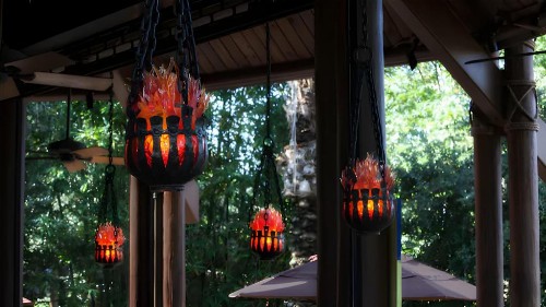 Disney's Animal Kingdom Villas - Kidani Village - image 14