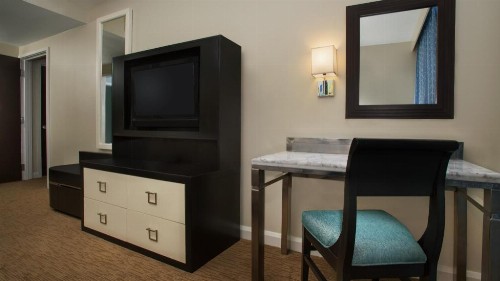Bay Lake Tower At Disney's Contemporary Resort - image 28
