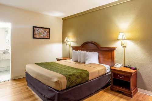 Econo Lodge Lake City North - image 10