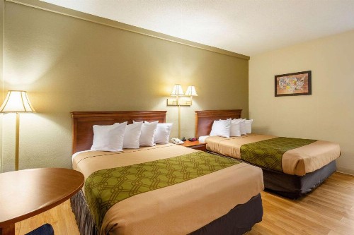 Econo Lodge Lake City North - image 7
