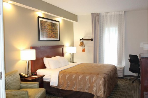 Quality Inn Lake City - image 6