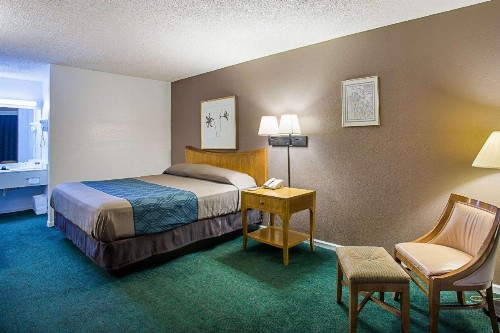 Rodeway Inn Lake City I-75 - image 13