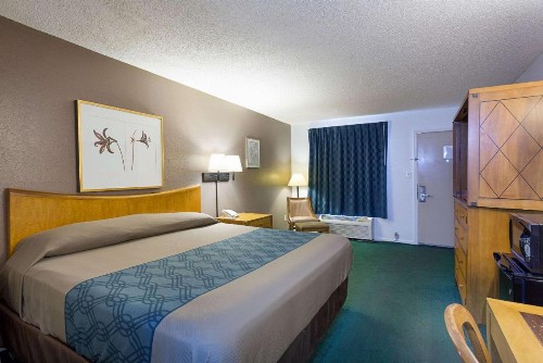 Rodeway Inn Lake City I-75 - image 16