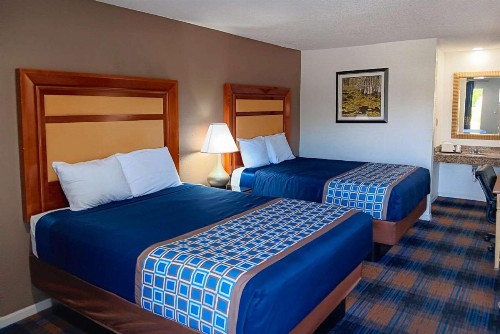 Rodeway Inn Lake City I-75 - image 26