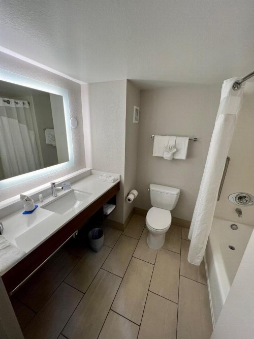 Holiday Inn Express Hotel & Suites Lake Elsinore an IHG Hotel - image 21