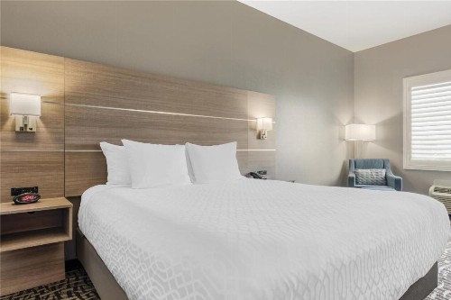 Best Western Plus Lake Elsinore Inn & Suites - image 13