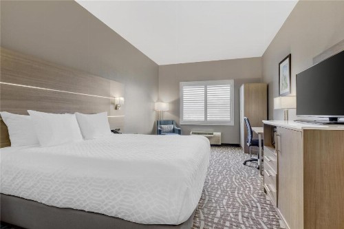 Best Western Plus Lake Elsinore Inn & Suites - image 15