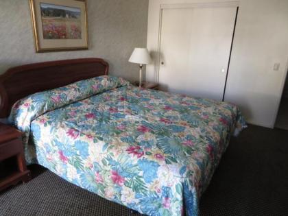 Travel Inn Lake Elsinore - image 7