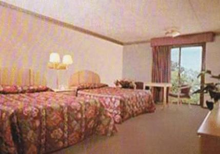 Chateau Royale Inn - image 3