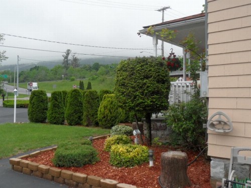 Seven Dwarfs Motel & Cabins - image 43