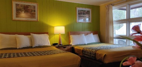 Pinebrook Motel - image 1