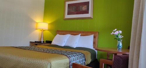 Pinebrook Motel - image 21