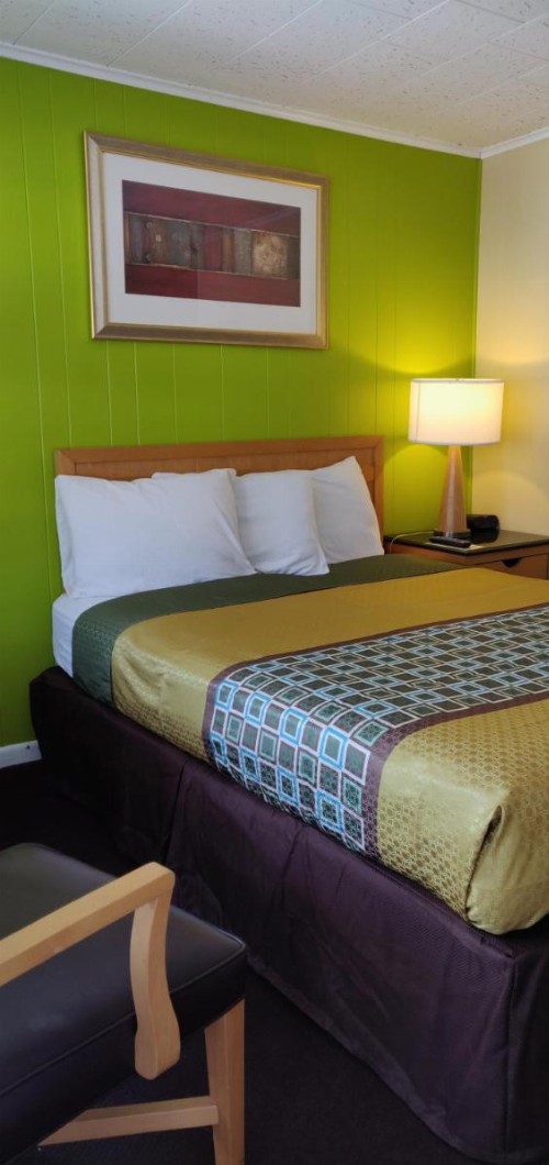 Pinebrook Motel - image 32