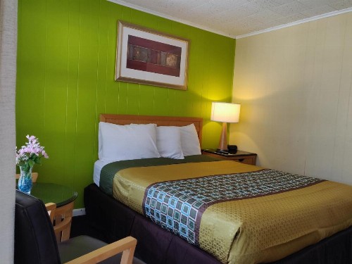Pinebrook Motel - image 35