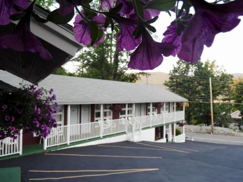 Pinebrook Motel - image 50