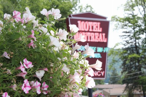 Motel Montreal - image 30