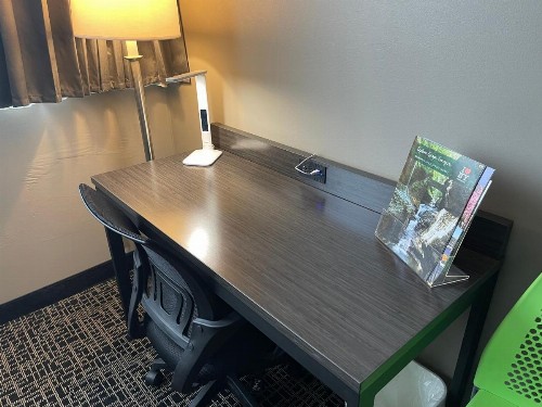 Mod Inn & Suites - image 32